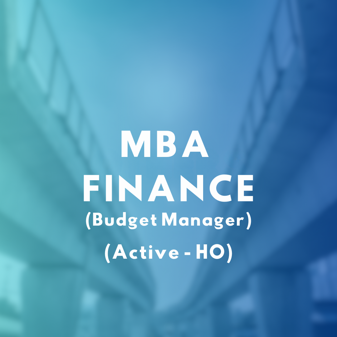 MBA Finance (2)